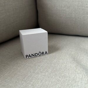 Pandora Ring 💍 box